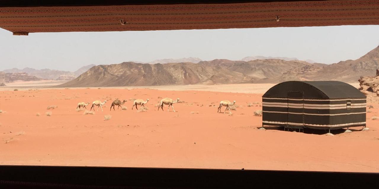 Real Bedouin Experience Tours & Camp Hotel Wadi Rum Buitenkant foto